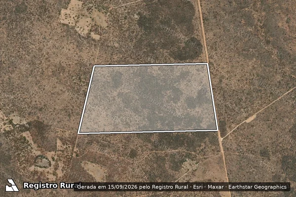 Imagem de satélite de SANTA CRUZ DA DATA CURRAL DO CAMPO - Parcela 1 em Dom Inocêncio - PI
