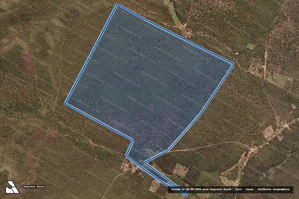 Imagem de satélite de ROÇADO em Itaueira - PI