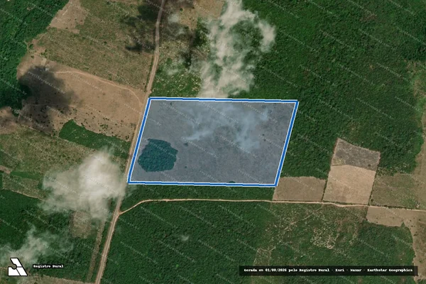 Imagem de satélite de Fazenda Moura Neto - Fazenda Moura Neto em Monte Alegre - PA