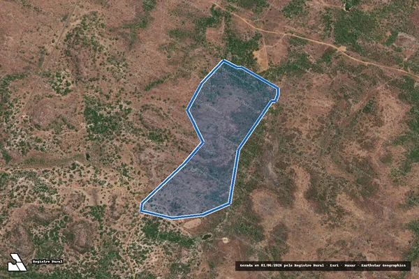 Imagem de satélite de CARNAUBAL - Parte 1 em São Félix do Piauí - PI