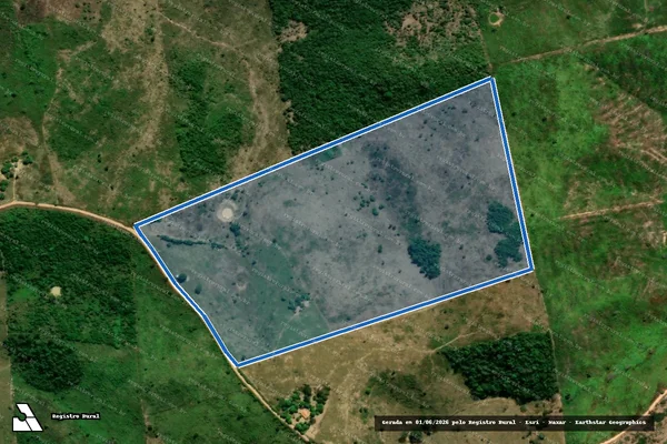 Imagem de satélite de PRESIDENTE LULA /FAZENDA SANTO ANTÔNIO / LOTE 71 - Parcela 1 em Bom Jesus das Selvas - MA