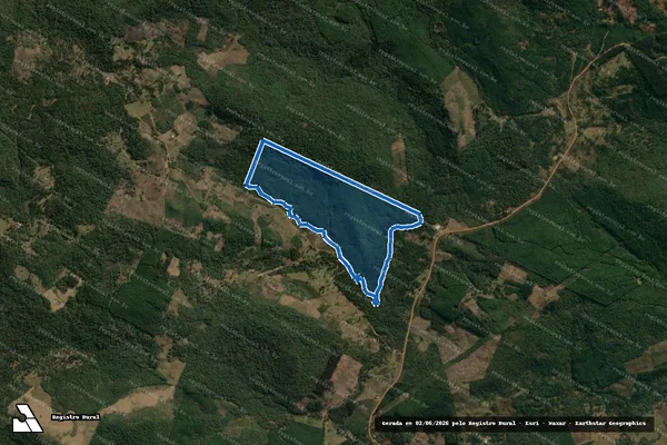 Imagem de satélite de FAZENDA SAO DOMINGOS / Única