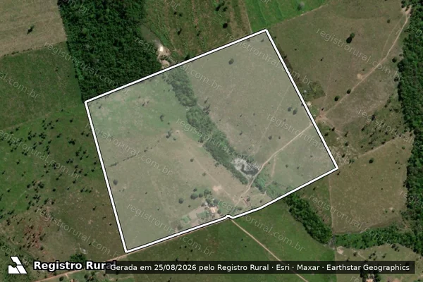 Imagem de satélite de FAZENDA BOA VISTA - REMANESCENTE em Bom Jesus do Tocantins - PA