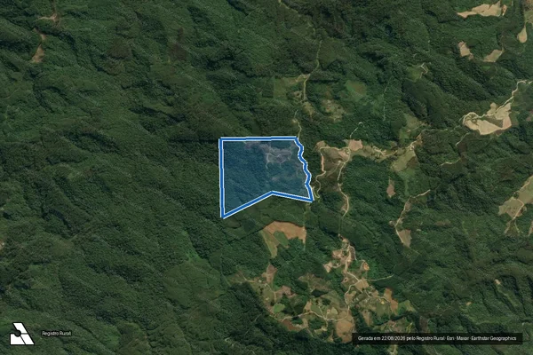 Imagem de satélite de TERRENO RURAL - Área ? A1 em Apiúna - SC