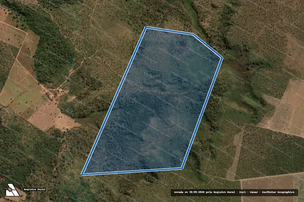 Imagem de satélite de Fazenda Dois Irmãos IV (2) - Parte 1 em Baixa Grande do Ribeiro - PI