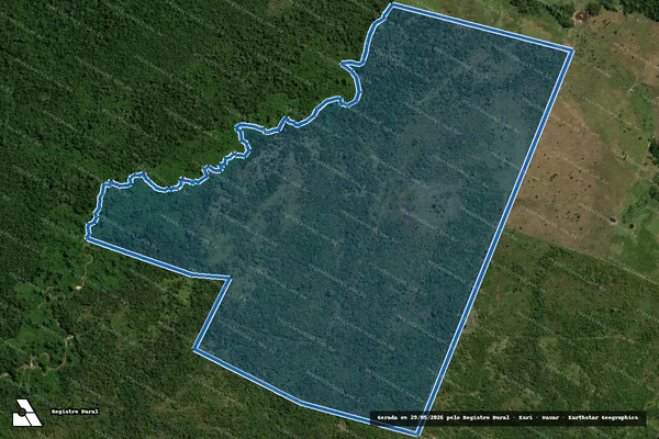 Imagem de satélite de FAZENDA DOIS IRMÃOS - Parcela 01 em Água Azul do Norte - PA