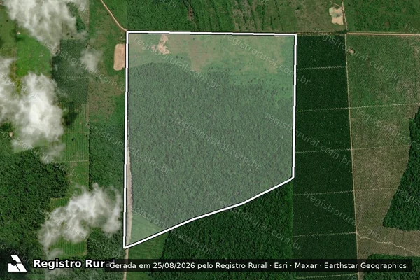 Imagem de satélite de FAZENDA SERTANEJA - Parte 1 em Moju - PA
