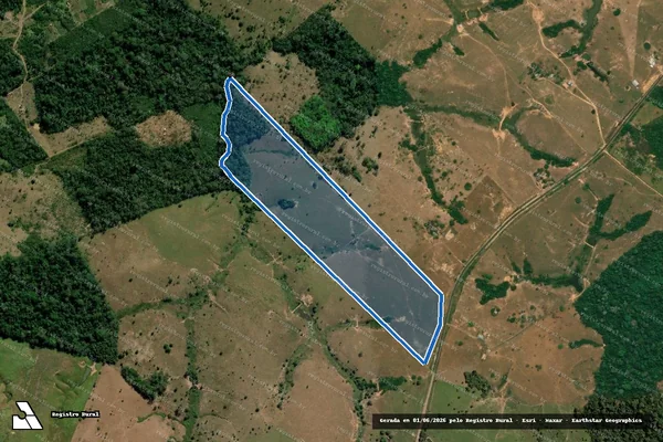 Imagem de satélite de COLONIA GONÇALVES  - Parcela 1 em Epitaciolândia - AC