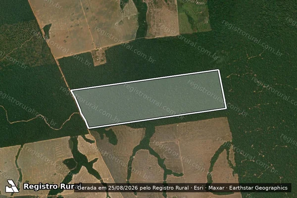 Imagem de satélite de FAZENDA MINEIRA V - FAZ. MINEIRA V ? GLEBA B em Nova Monte Verde - MT