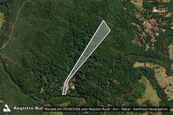 Imagem de satélite de FAZENDA RIO DOS BOIS - Gleba 6G em Vianópolis - GO