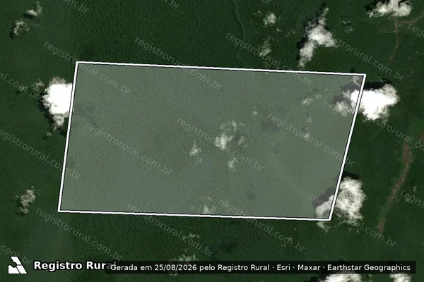 Imagem de satélite de FAZENDA  DONA VITORIA - Parcela 1 em Novo Aripuanã - AM
