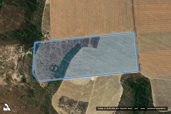 Imagem de satélite de LOTE ? 46 - PA FLORES FORMOSO - LOTE ? 46- PA FLORES FORMOSO em Sítio d'Abadia - GO