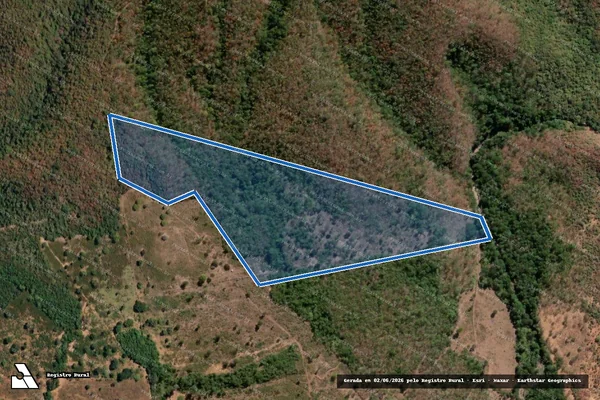 Imagem de satélite de FAZENDA SÃO PEDRO / ARAGUAIA - Gleba 02 em Nova Roma - GO