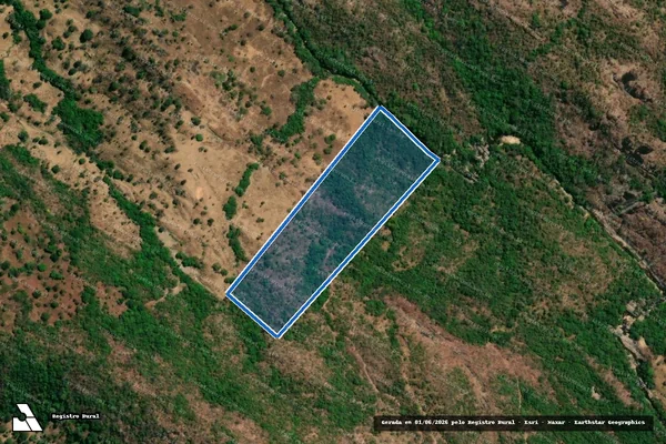 Imagem de satélite de FAZENDA BRAZILIA OU GUARINOS - LOTE 01 em Guarinos - GO
