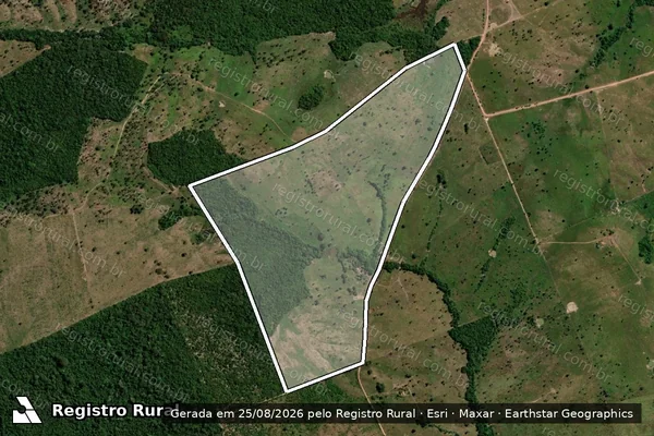Imagem de satélite de Fazenda Nova Vida  - PARTE I em Piçarra - PA