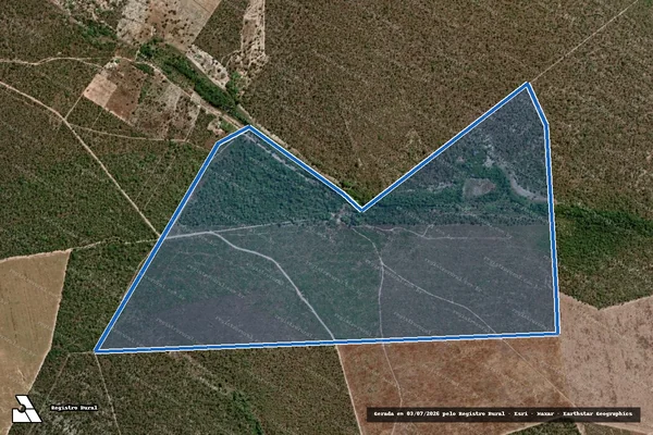 Imagem de satélite de FAZENDA RUDIADOR em São Raimundo das Mangabeiras - MA