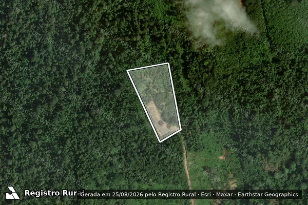 Imagem de satélite de SÍTIO CHAMEGO - CHÁCARA BELA VISTA em Brasil Novo - PA
