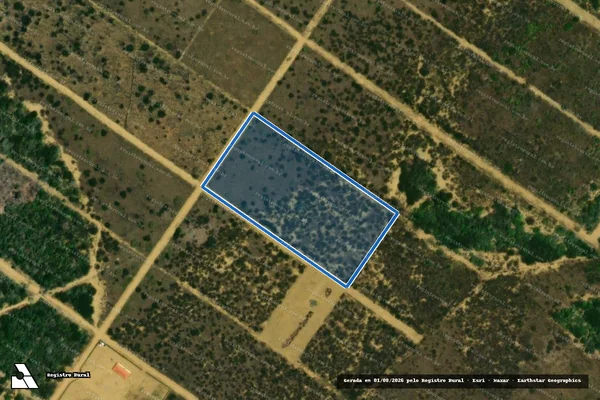 Imagem de satélite de FAZENDA MARIA INÁCIA - GLEBA_015 em Maracás - BA