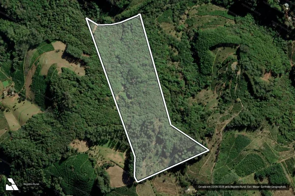 Imagem de satélite de PROPRIEDADE CACCIAMANI - Gleba NÉDIO em Ilópolis - RS