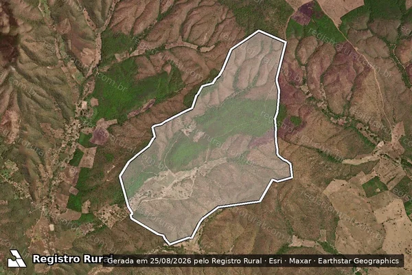 Imagem de satélite de FAZENDA BREJINHO / 001 em Santa Rita de Cássia - BA
