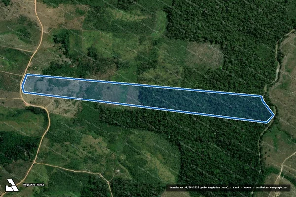 Imagem de satélite de LOTE 09 - PA RIO CURURUÍ - GLEBA TUERÊ - Parte 1 em Pacajá - PA