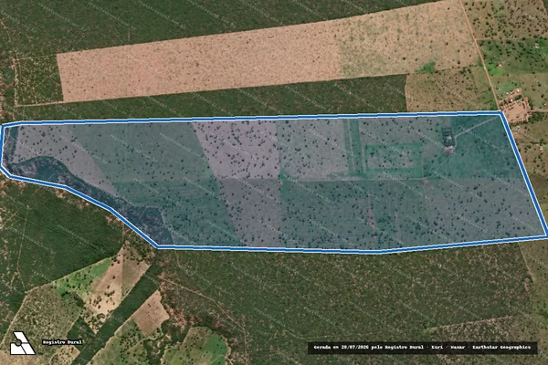 Imagem de satélite de FAZENDA PALESTINA - Parcela 1 em Tucano - BA