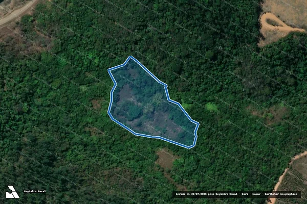 Imagem de satélite de Fazenda Santo Antônio dos Portéis Mata do Jorge / Monges - Parte 1 em Nova Era - MG