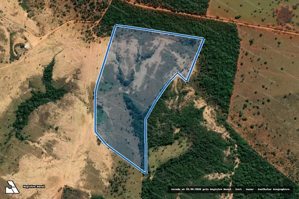 Imagem de satélite de FAZENDA MACAÚBAS, lugar Pequi - Parte 1 em Paineiras - MG