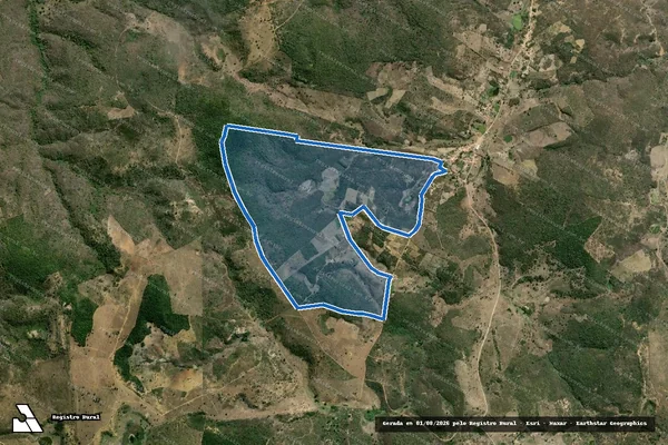 Imagem de satélite de FAZENDA DEUS QUEM CRIA em Planalto - BA