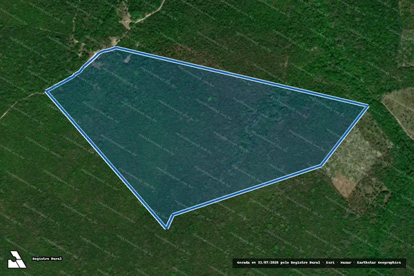Imagem de satélite de Fazenda Mundo Novo - LOTE 10 em Codó - MA