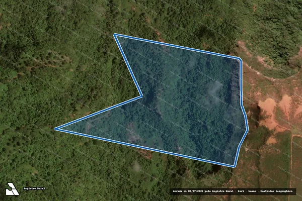 Imagem de satélite de FAZENDA FORMIGUINHA - WELLINGTON MENDES em Mineiros - GO