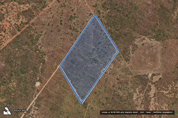 Imagem de satélite de LUGAR PATOS ? FAZENDA VEREDA - Parte 1 em São Raimundo Nonato - PI