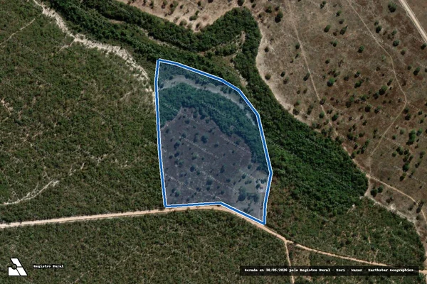 Imagem de satélite de FAZENDA EXTREMA - GLEBA 02 em Arinos - MG