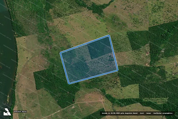 Imagem de satélite de LOTE 52 DA GLEBA SOROZINHO - FAZENDA SÃO BENTO - 04 em Araguatins - TO