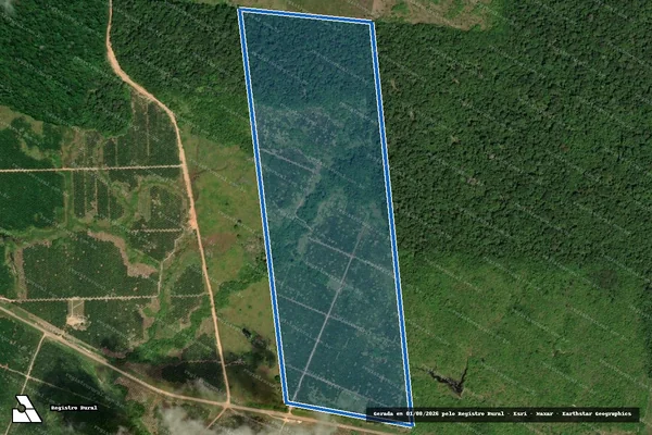 Imagem de satélite de FAZENDA NOSSA SENHORA DO CARMO(300) - LOTE 300 em São João da Baliza - RR