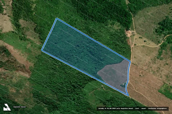 Imagem de satélite de P.A BATUTA/LOTE 42/ FAZENDA CAIANO 1 - PARTE 1 em Bom Jesus das Selvas - MA
