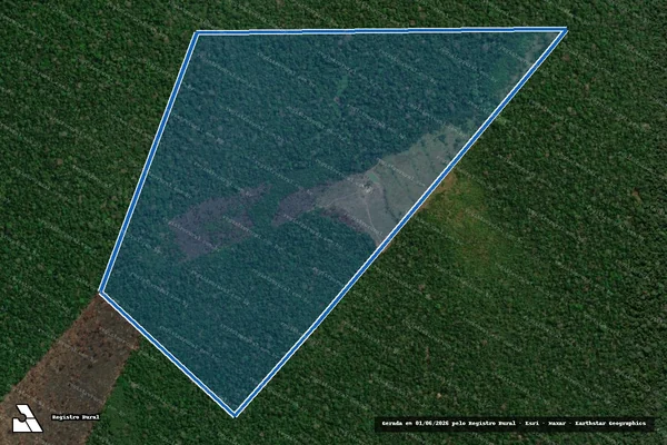 Imagem de satélite de FAZENDA CASTANHEIRA / FAZENDA NOVA VIDA II