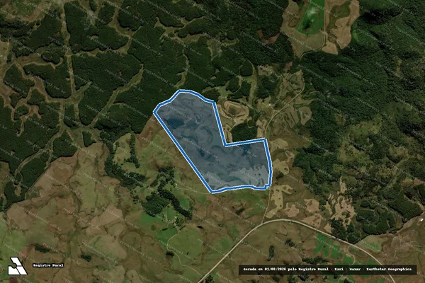 Imagem de satélite de FAZENDA SANTA RITA - MATRICULA - Gleba 03 em Palmas - PR