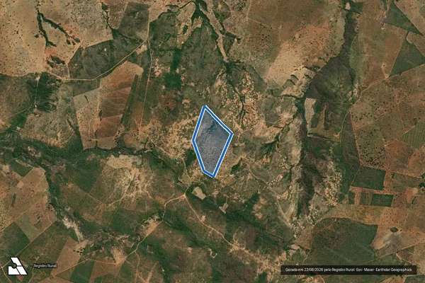 Imagem de satélite de FAZENDA SANTA ENGRÁCIA ? ESPINHO - GLEBA 16 em Bocaiúva - MG