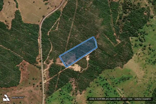 Imagem de satélite de FAZENDA BOA VISTA OU ARARAS - PARCELA 02 em Pirenópolis - GO