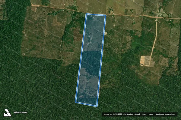 Imagem de satélite de P.A. JUARI_LOTE 08_TD:RR000300003833/2006 - Única em Rorainópolis - RR
