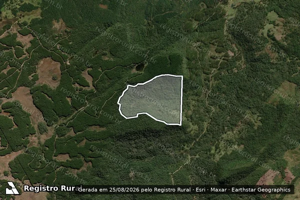 Imagem de satélite de FAZENDA BATISTA II - Matrícula 2.425 em Lebon Régis - SC