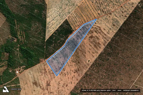 Imagem de satélite de FAZENDA BREJÃO em Feira Nova do Maranhão - MA