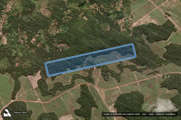 Imagem de satélite de FAZENDA DAVID CALDAS - Mat. 2793 em União - PI