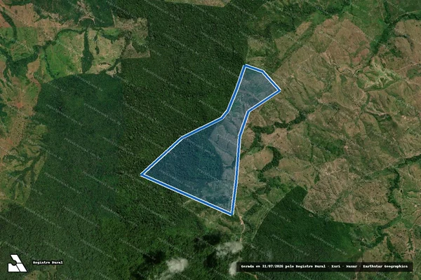 Imagem de satélite de Fazenda Caroline - Única em Palestina do Pará - PA