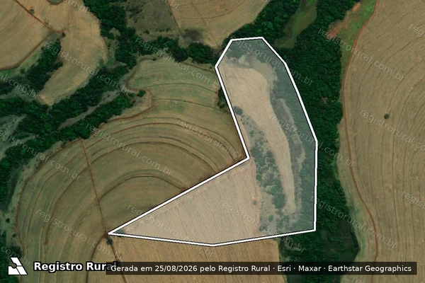 Imagem de satélite de FAZENDA FORTALEZA CASTELO - 001 em Castelândia - GO