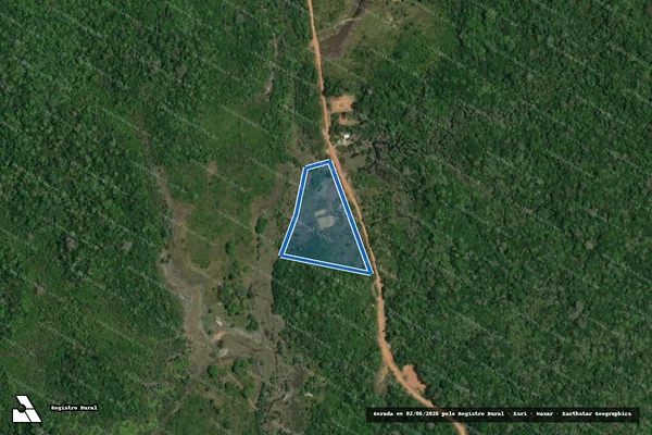 Imagem de satélite de GLEBA 03 - LOTE 02 - AREA 02 - IMÓVEL JANUACÁ em Careiro - AM