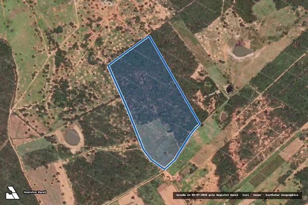 Imagem de satélite de FAZENDA LAGOA DO CAPIM - GLEBA 13 em Dom Basílio - BA