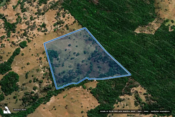 Imagem de satélite de FAZENDA BURITI - GLEBA 01 em Rubiataba - GO