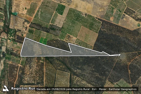 Imagem de satélite de FAZENDA NOVA FELICIDADE - Parcela 3 em Juazeiro - BA